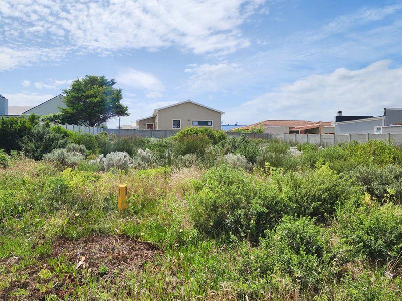 A vacant residential plot featuring established natural vegetation and enclosed by a precast concrete boundary wall.