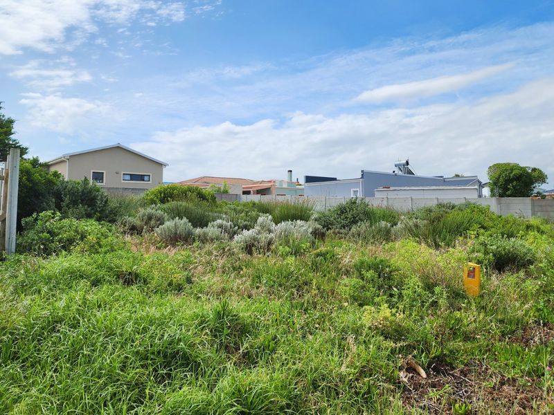 A vacant residential plot featuring natural vegetation, enclosed by a precast concrete boundary wall in a developed neighborhood setting.
