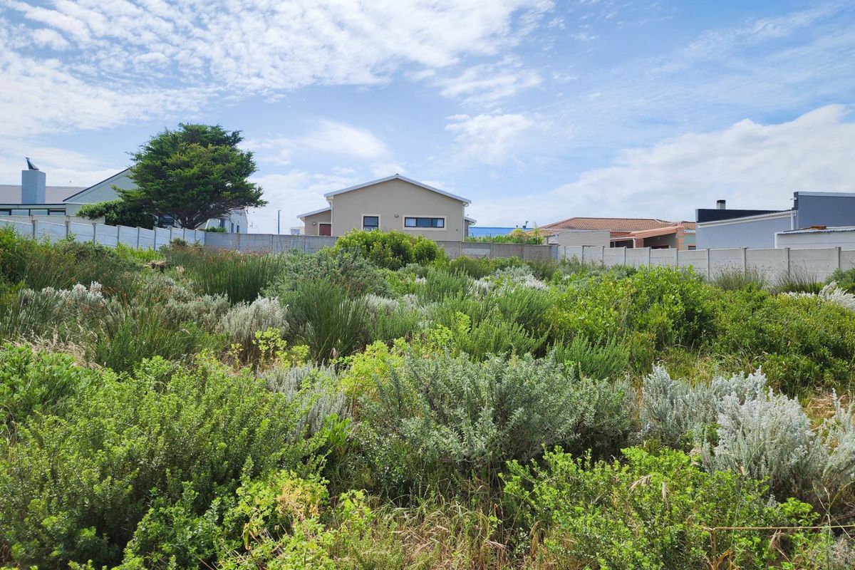 A view of a vacant residential plot featuring natural vegetation and enclosed by a precast concrete boundary wall.