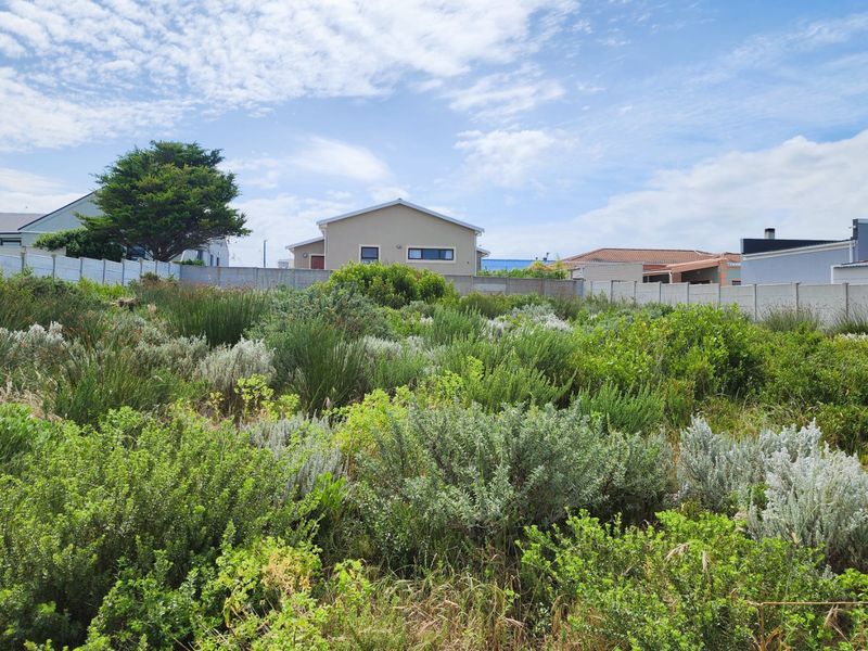 A view of a vacant residential plot featuring natural vegetation and enclosed by a precast concrete boundary wall.