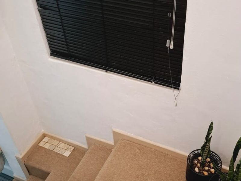 A carpeted staircase featuring a window with black venetian blinds, providing access between levels in the apartment.