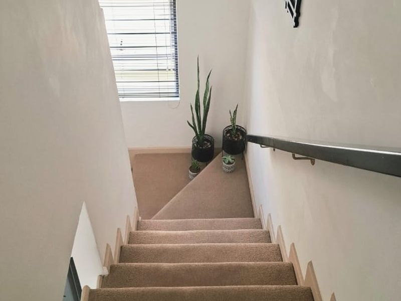 A carpeted staircase leading downwards, featuring a wall-mounted handrail and a window providing natural light to the landing area.