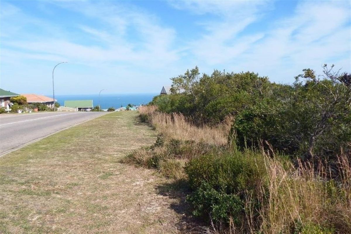 A street-level view showing a paved road adjacent to a grassy verge and natural coastal vegetation with a distant ocean view.