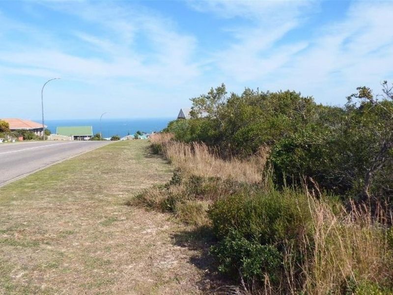 A street-level view showing a paved road adjacent to a grassy verge and natural coastal vegetation with a distant ocean view.