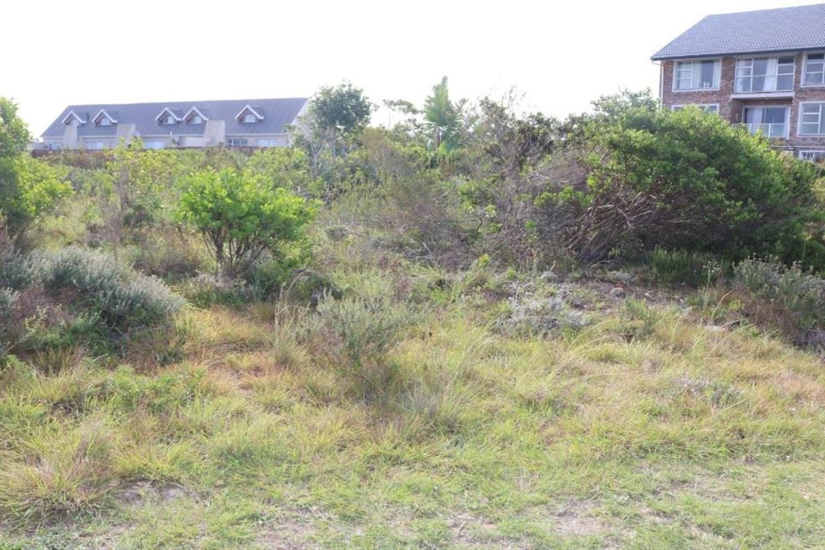 An undeveloped plot of land featuring natural indigenous vegetation and surrounding residential properties.