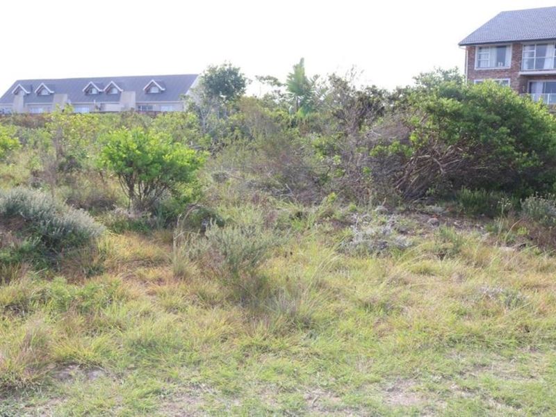 An undeveloped plot of land featuring natural indigenous vegetation and surrounding residential properties.