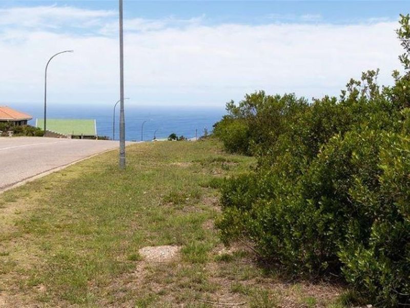 A street-level view showing the paved road, street lighting, and surrounding natural vegetation with a distant ocean view.