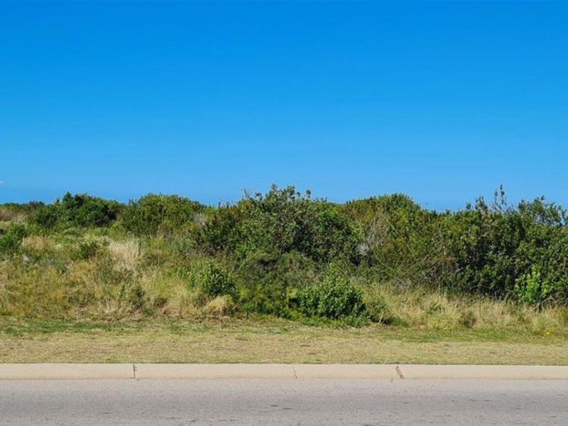 A vacant plot of land featuring natural vegetation, bordered by a paved road, concrete perimeter wall, and electric fencing.