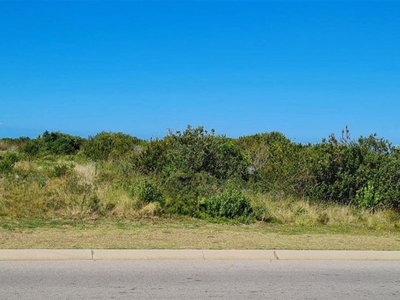A view of a vacant plot of land from the adjacent paved street, featuring natural vegetation and a clear curb boundary.