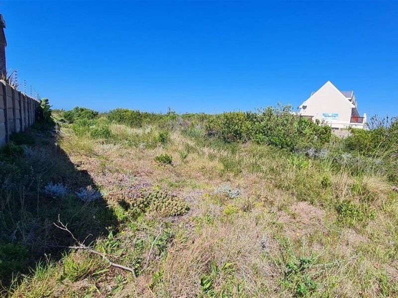 An undeveloped garden area featuring a precast concrete boundary wall with installed electric fencing, surrounded by natural coastal vegetation.