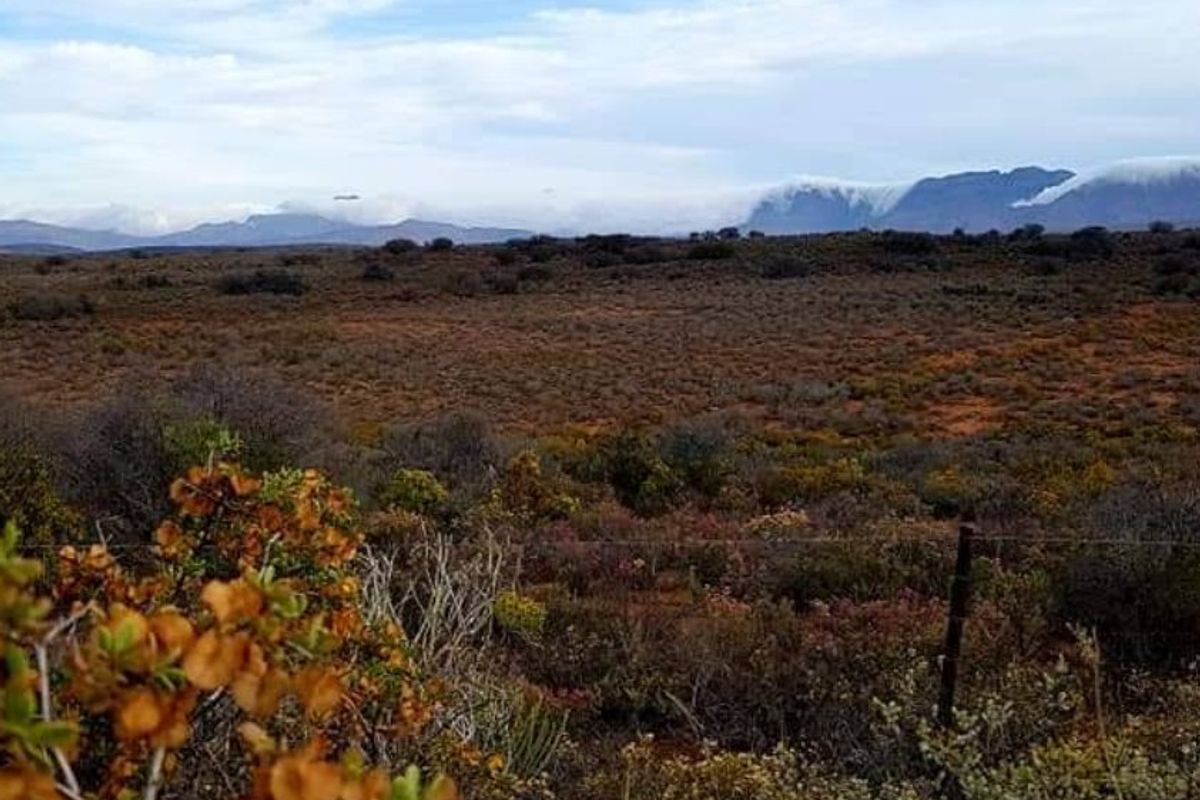A scenic view of the expansive natural landscape and distant mountain range, featuring native vegetation and perimeter wire fencing.