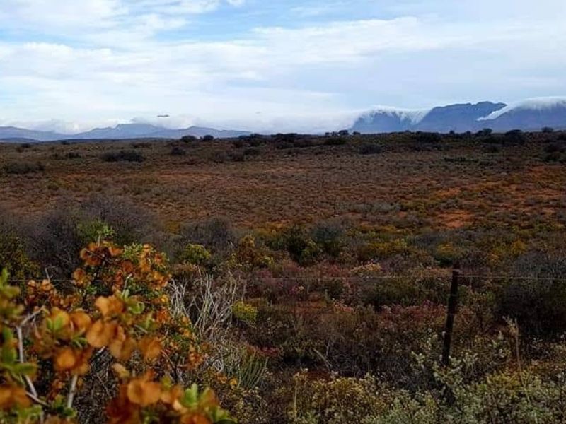 A scenic view of the expansive natural landscape and distant mountain range, featuring native vegetation and perimeter wire fencing.