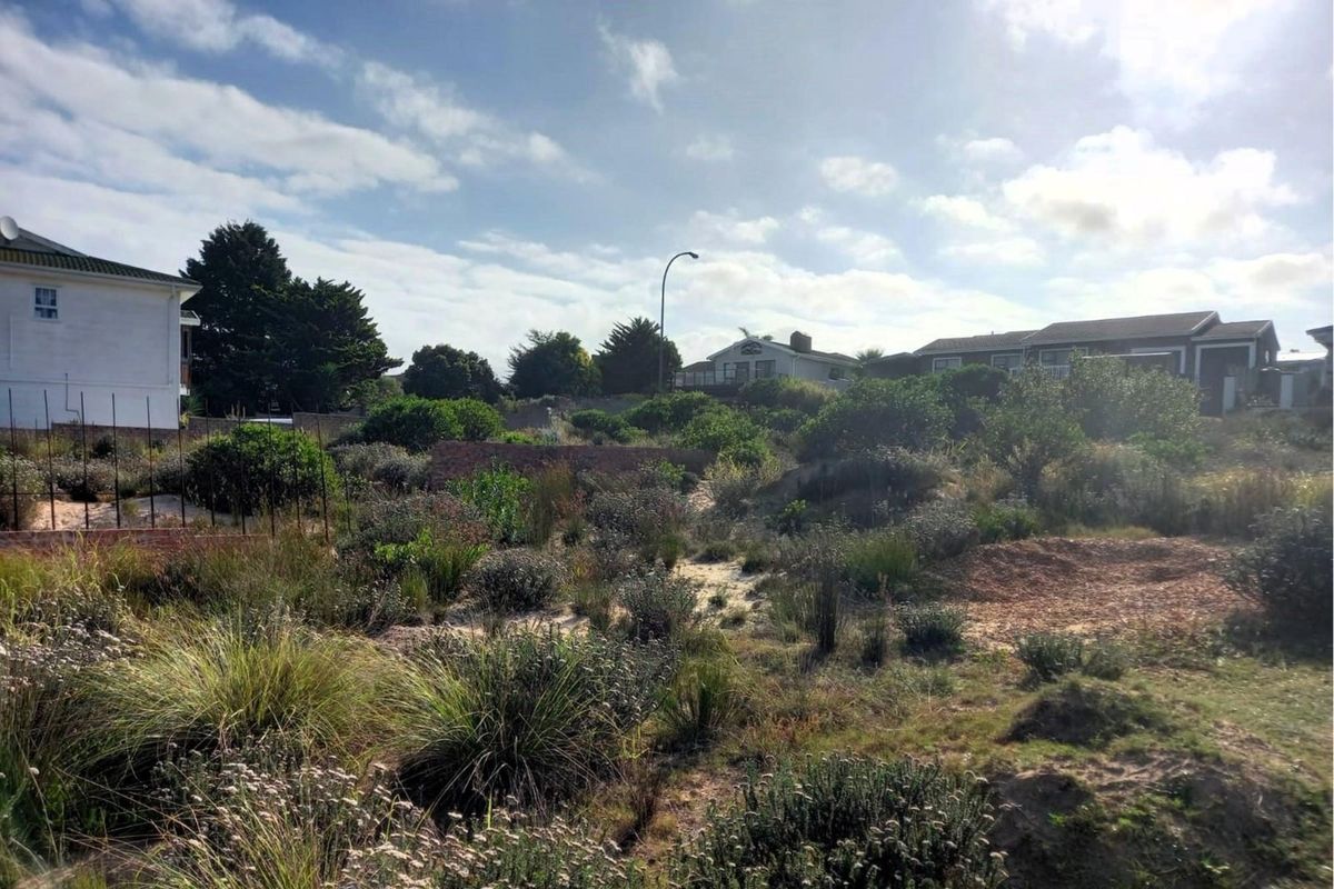 A view of a vacant residential plot featuring natural vegetation, sandy terrain, and existing boundary retaining walls in a established neighborhood setting.