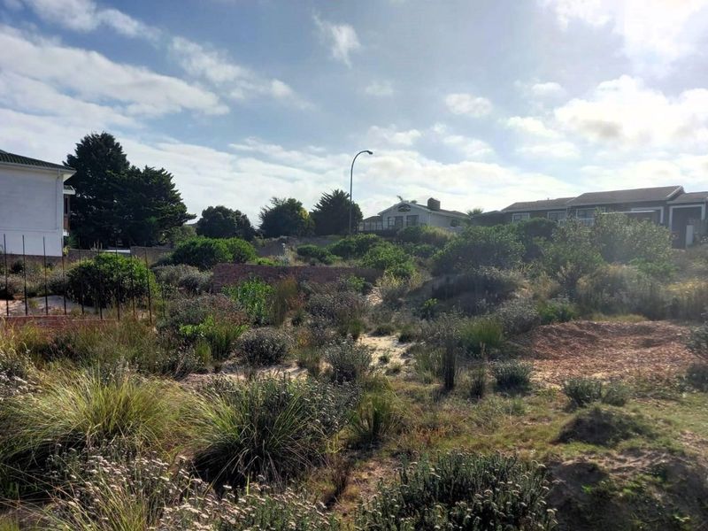 A view of a vacant residential plot featuring natural vegetation, sandy terrain, and existing boundary retaining walls in a established neighborhood setting.