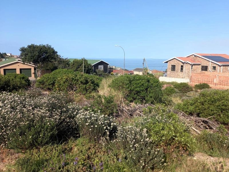 A view of the surrounding residential neighbourhood and coastal landscape from the vacant land plot.
