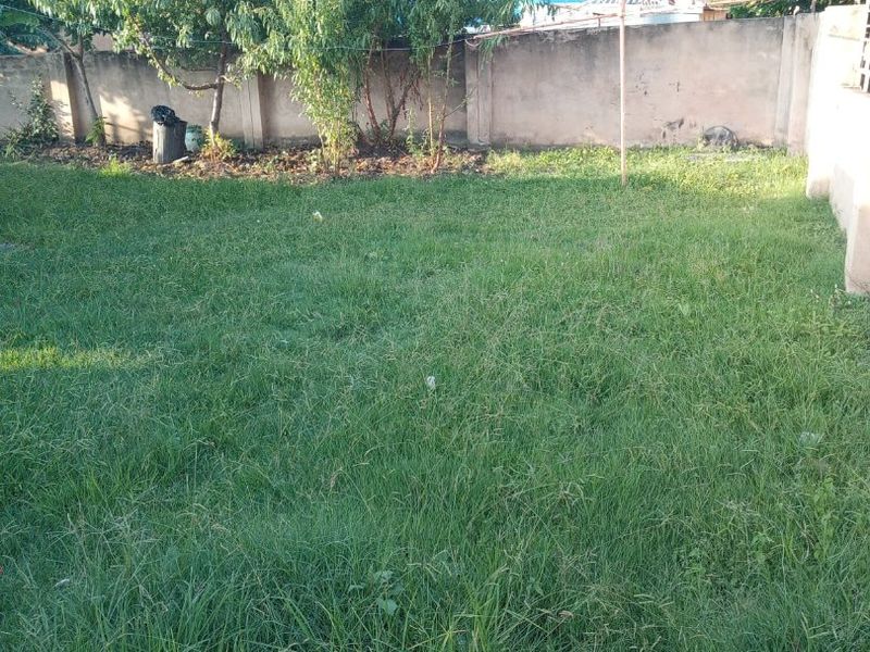 A private backyard area featuring a grass lawn enclosed by a perimeter wall with established trees.
