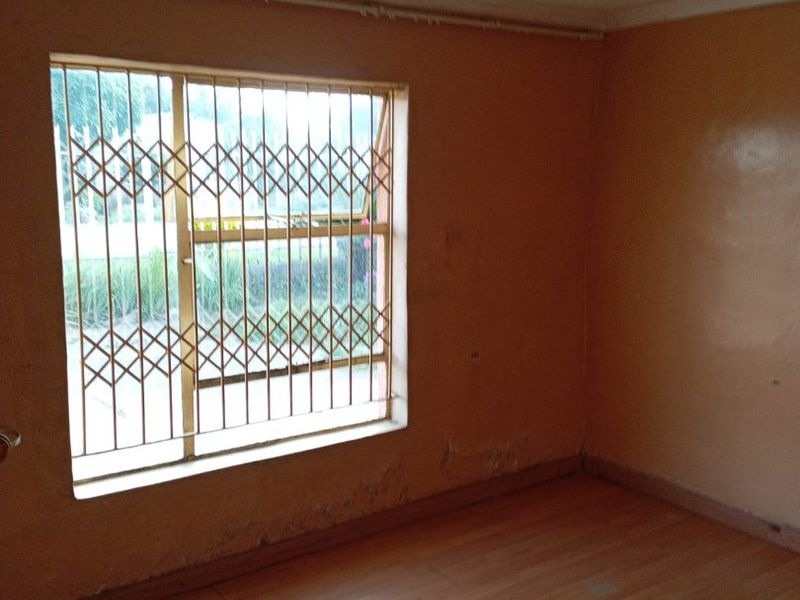 An empty bedroom featuring laminate flooring, a ceiling rose, and a window fitted with a security gate, showing signs of wall surface deterioration.