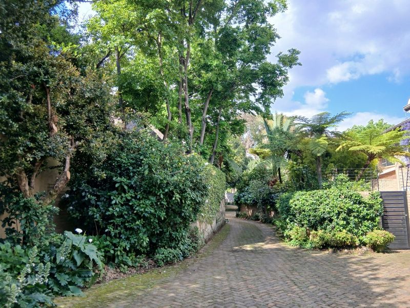 A lush, tree-lined brick paved driveway leading towards the property entrance, featuring mature landscaping and secure boundary walls.