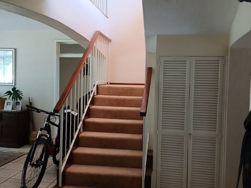 A central hallway featuring a carpeted staircase with a wooden handrail and built-in louvered storage cupboards.