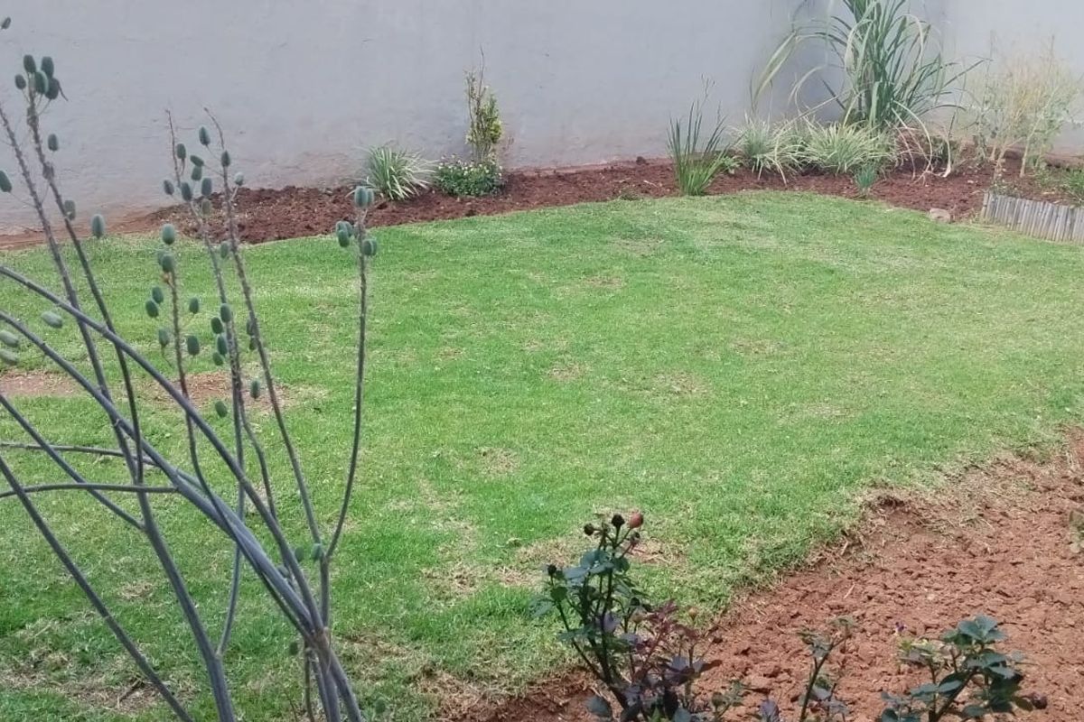 A private rear garden featuring a maintained lawn, perimeter boundary wall, and established garden beds.