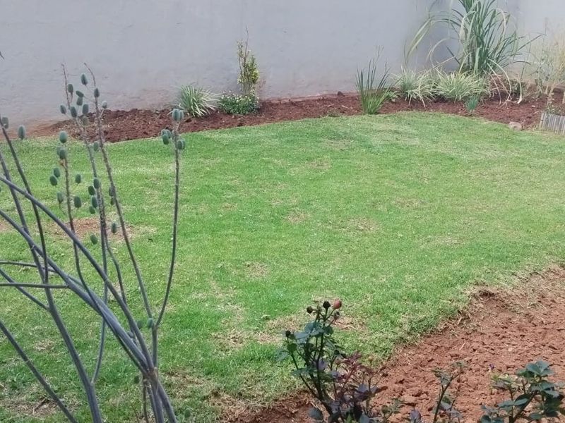 A private rear garden featuring a maintained lawn, perimeter boundary wall, and established garden beds.