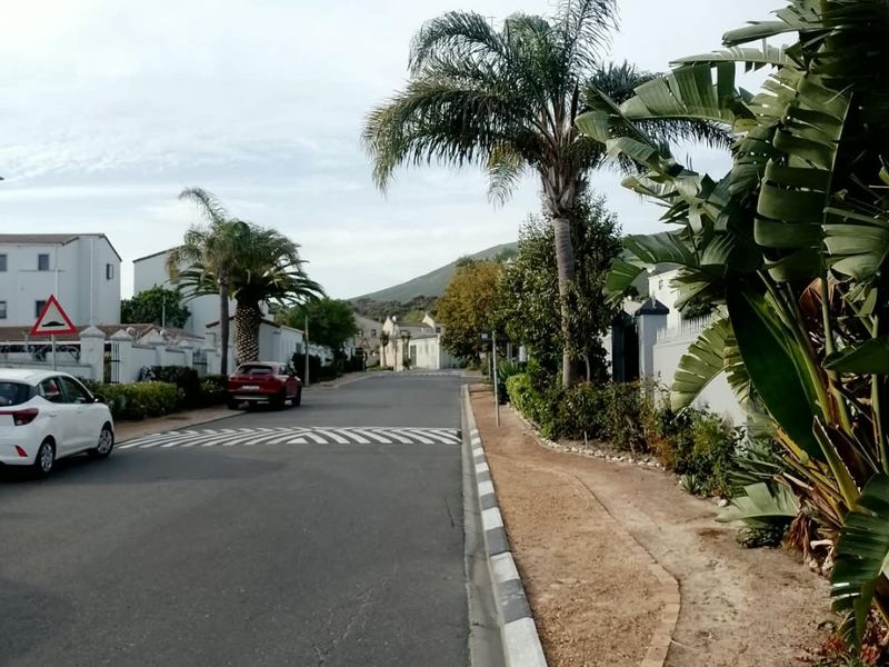 A view of the residential street approach featuring paved roads, painted curbs, and established landscaping.