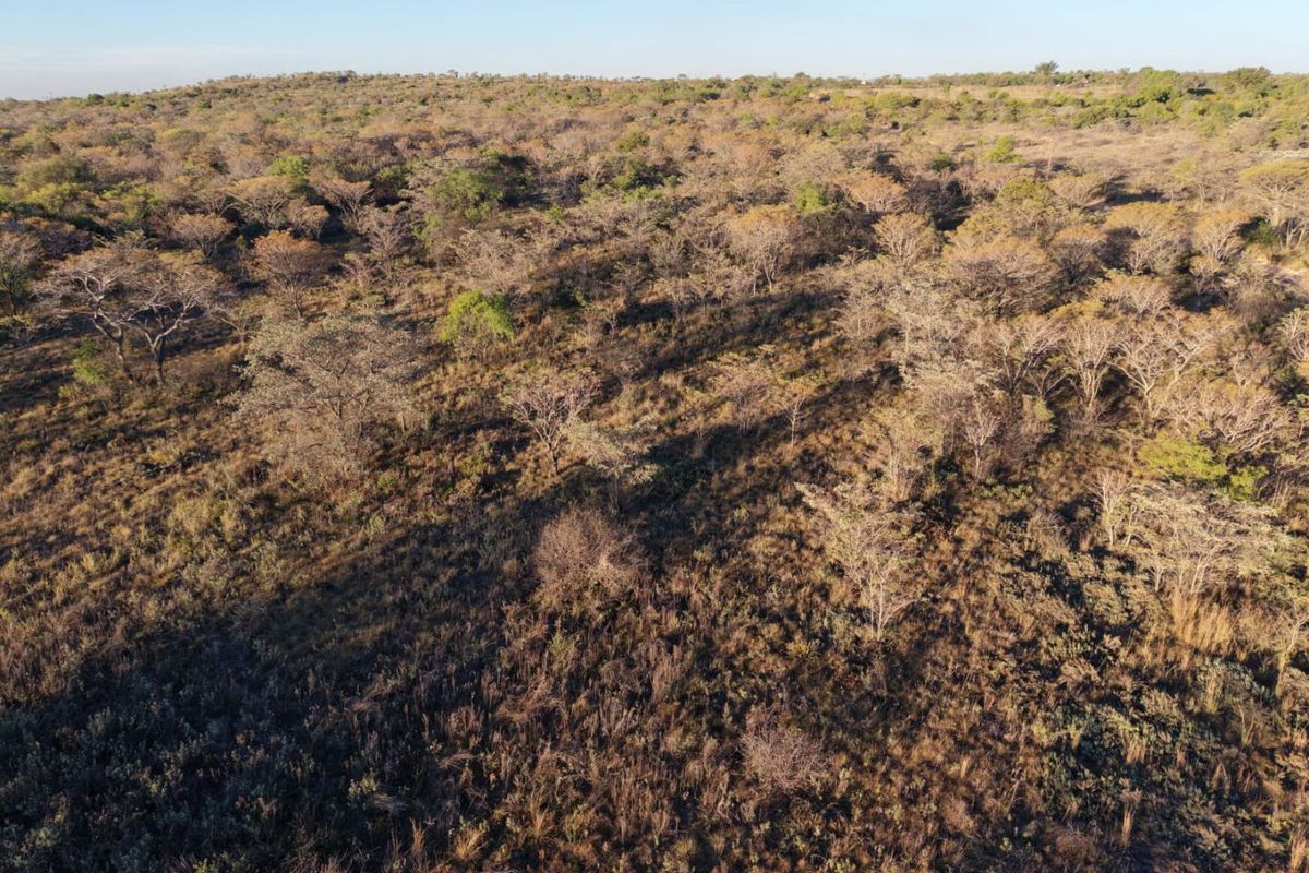An aerial view of a large, undeveloped plot of land featuring natural bushveld vegetation and trees.