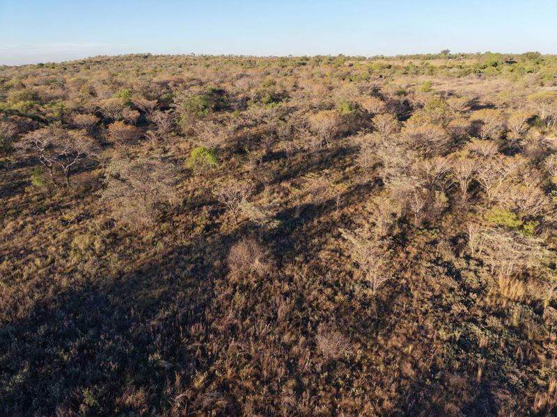 An aerial view of a large, undeveloped plot of land featuring natural bushveld vegetation and trees.