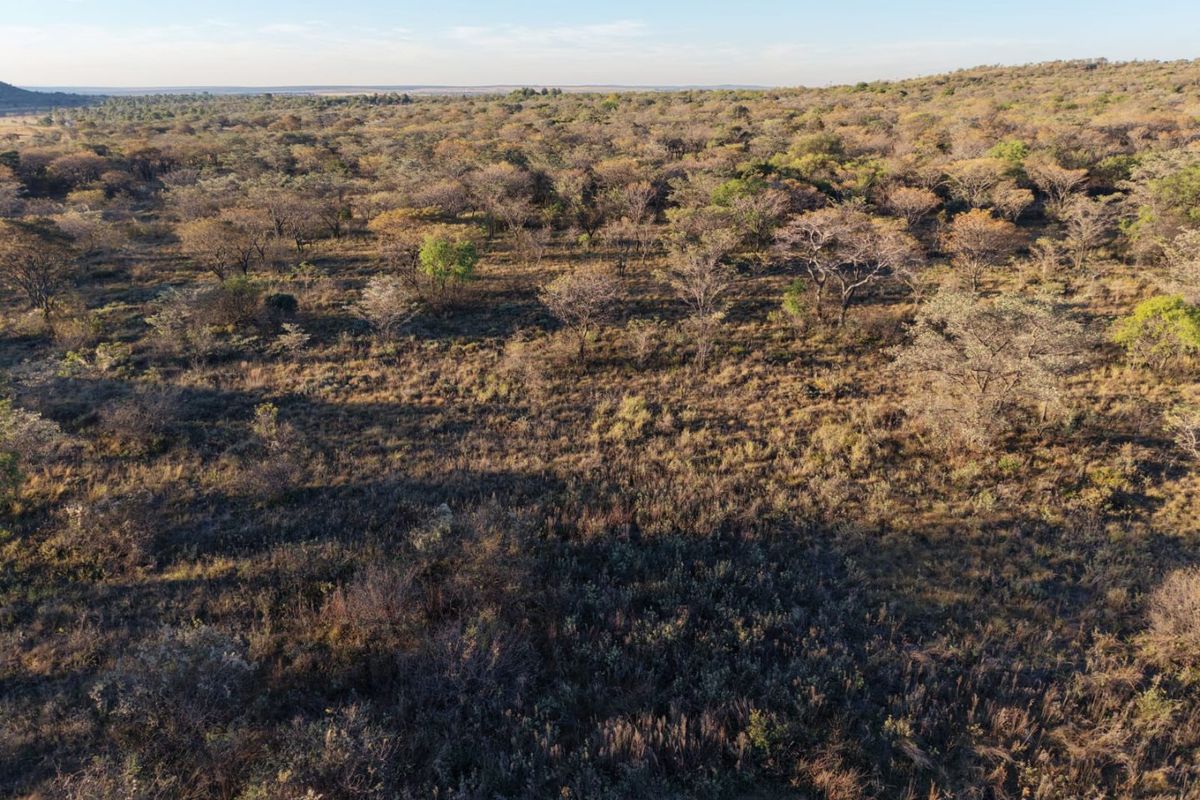 An aerial view of the expansive natural landscape and surrounding bushveld terrain.