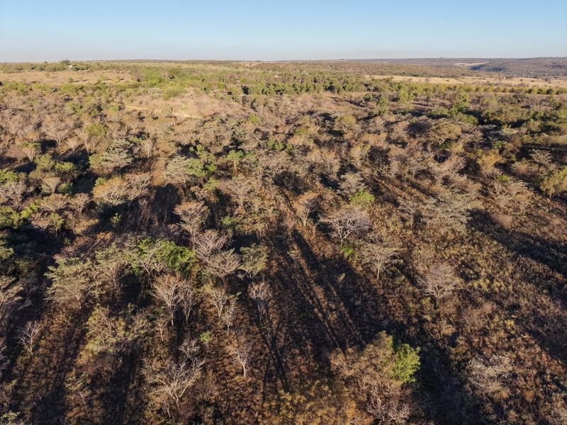 An aerial view of the expansive natural landscape and woodland surrounding the property.