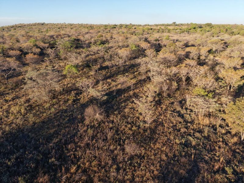An aerial view of a large, undeveloped plot of land featuring natural bushveld vegetation and native trees.