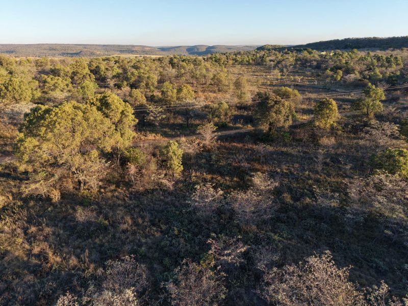 An aerial view of a vast, undeveloped natural landscape featuring native trees, shrubs, and a dirt track running through the terrain.