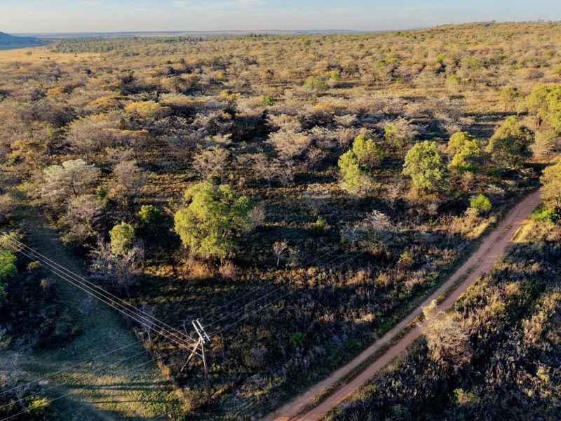Aerial view of a large plot of land featuring natural vegetation, a dirt access road, and overhead power lines.