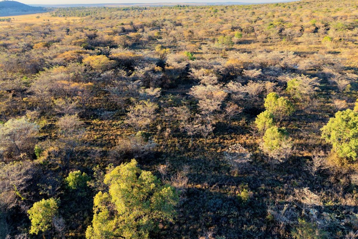 An aerial view showcasing the expansive natural landscape and native woodland vegetation surrounding the property.