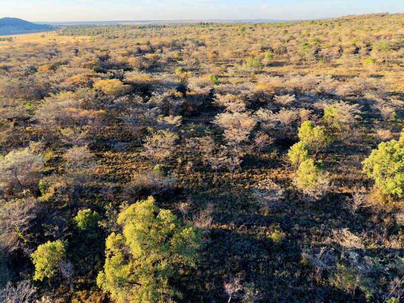 An aerial view showcasing the expansive natural landscape and native woodland vegetation surrounding the property.