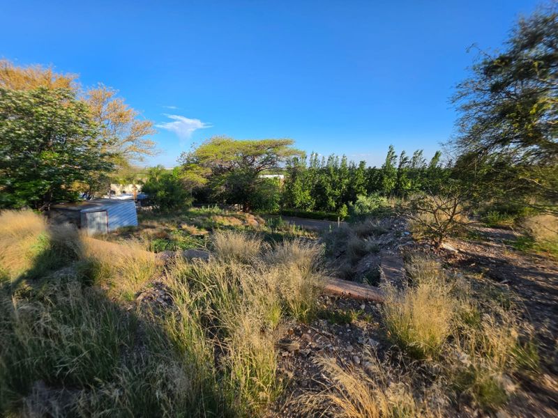 A view of a vacant residential plot featuring natural vegetation, mature trees, a small metal storage shed, and existing retaining wall structures.