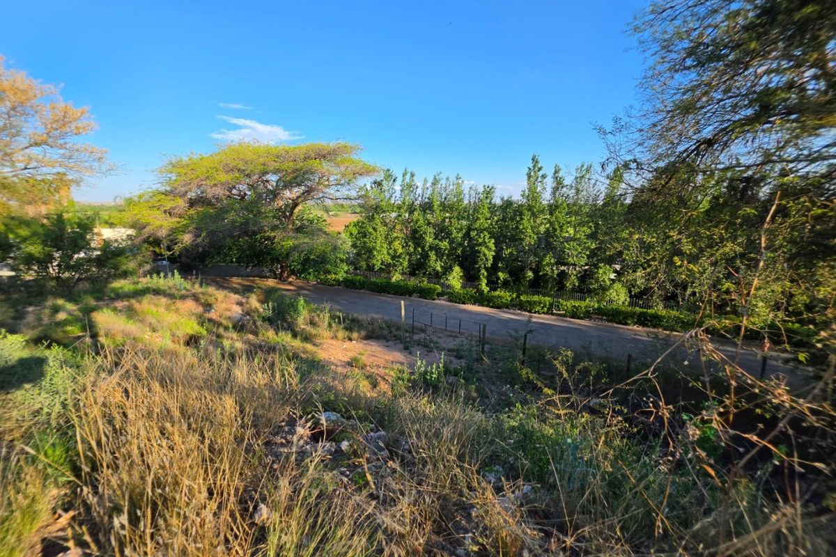 A view of the vacant residential land featuring natural vegetation, mature trees, and existing perimeter fencing along an access road.