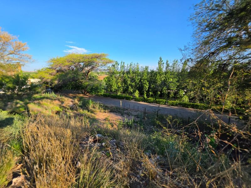 A view of the vacant residential land featuring natural vegetation, mature trees, and existing perimeter fencing along an access road.
