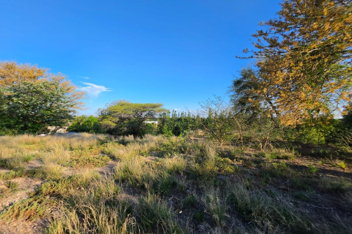 A view of a vacant residential plot featuring natural vegetation and mature trees under a clear blue sky.