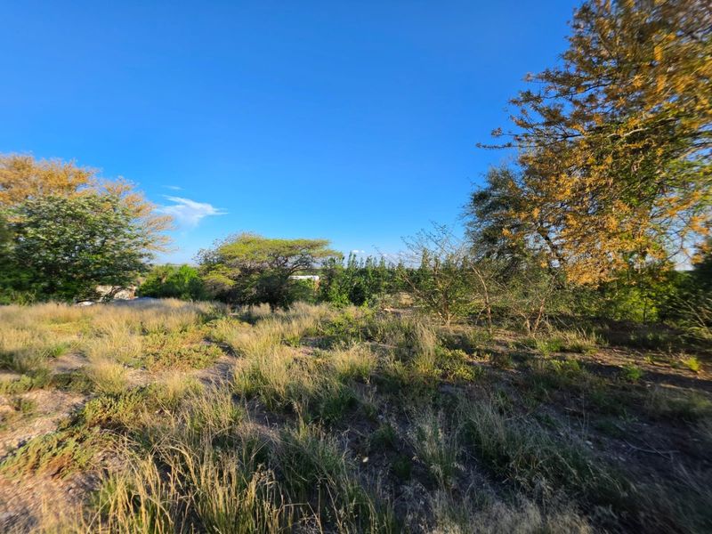 A view of a vacant residential plot featuring natural vegetation and mature trees under a clear blue sky.
