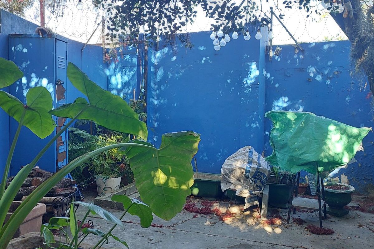 A private rear courtyard area featuring high perimeter walls with security fencing and concrete paving, requiring maintenance and cosmetic updates.