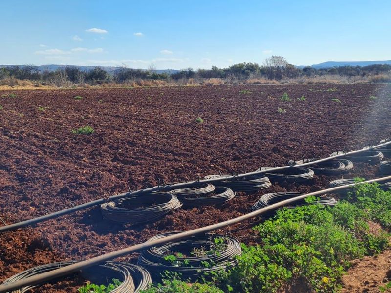 A view of a cultivated farm field featuring an installed irrigation system across the tilled land.