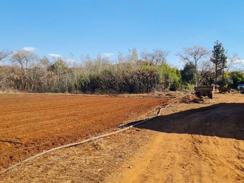 A view of a cultivated farm field with irrigation lines, adjacent to a dirt access road and brick building structure.