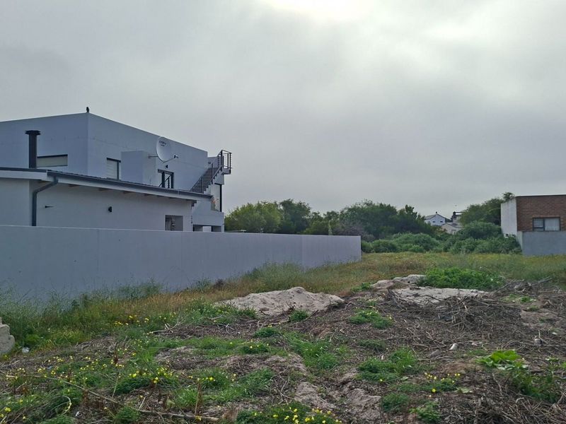 A vacant residential plot featuring natural vegetation and adjacent boundary walls, offering a blank canvas for future development.