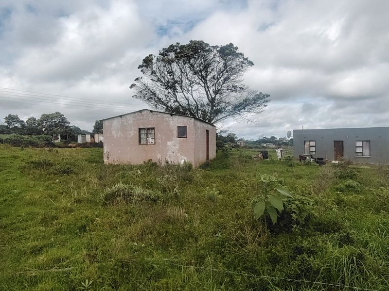 A view of a detached single-story residential structure set on a large, overgrown plot of land with weathered exterior finishes.