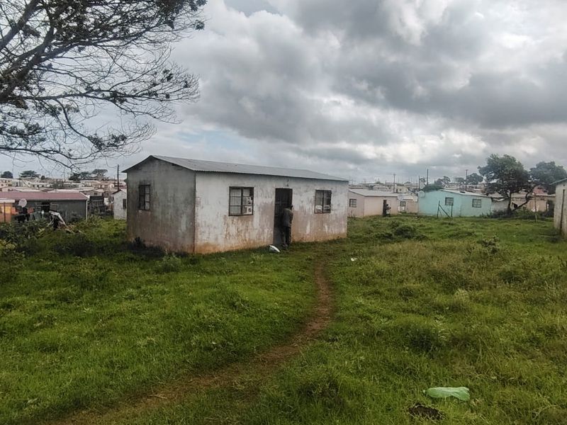 A detached single-story residential dwelling featuring a corrugated metal roof and steel-framed windows, situated on a large grassed plot.