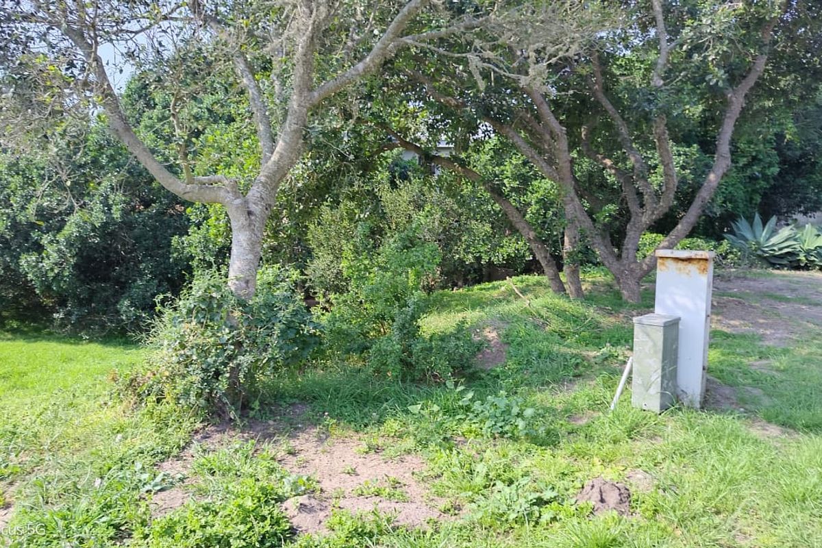 A view of a residential plot featuring mature trees and an existing electrical utility connection point.