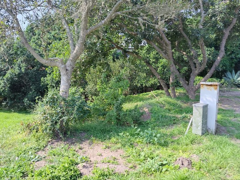 A view of a residential plot featuring mature trees and an existing electrical utility connection point.