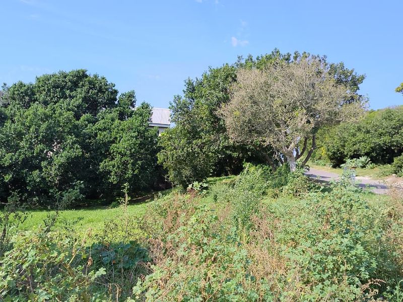 A view of a sloped residential plot featuring established trees and natural vegetation, suitable for development.