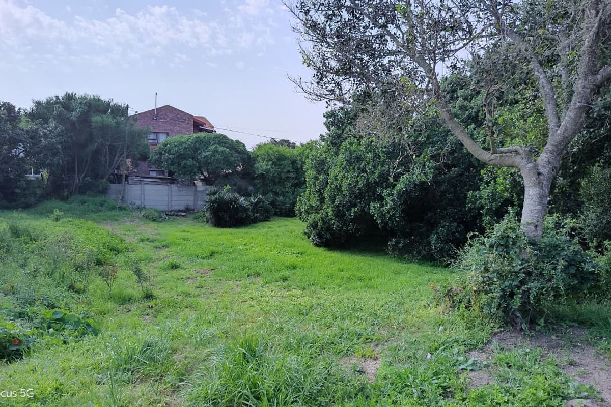 A spacious, undeveloped residential plot featuring established trees, a grass lawn, and a boundary wall, offering potential for future landscaping or development.